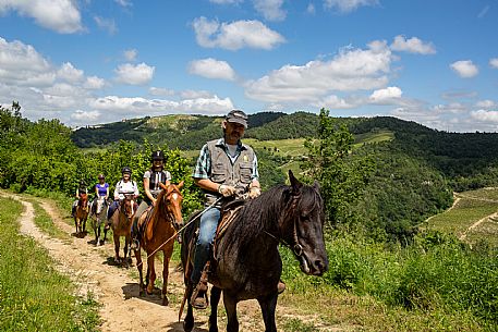 Horse riding Alta Langa